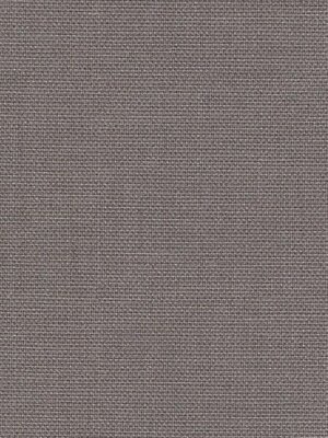 ZAZOU PLUM
