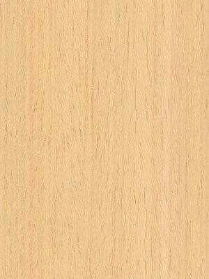 Breng het warme gevoel in je interieur dankzij onze houten jaloezieën. Onze Overcast bio uit abachi wordt gekleurd en biologisch gewaxt. Deze tropische houtsoort is zeer licht in gewicht en extreem duurzaam. Bepaal zelf je privacy en lichtinval door de lamellen te kantelen, deze bestaan in 25, 35 of 50 mm latbreedte.