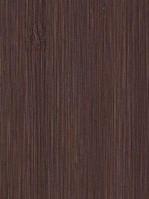 BASECAMPPREMIUM Teak