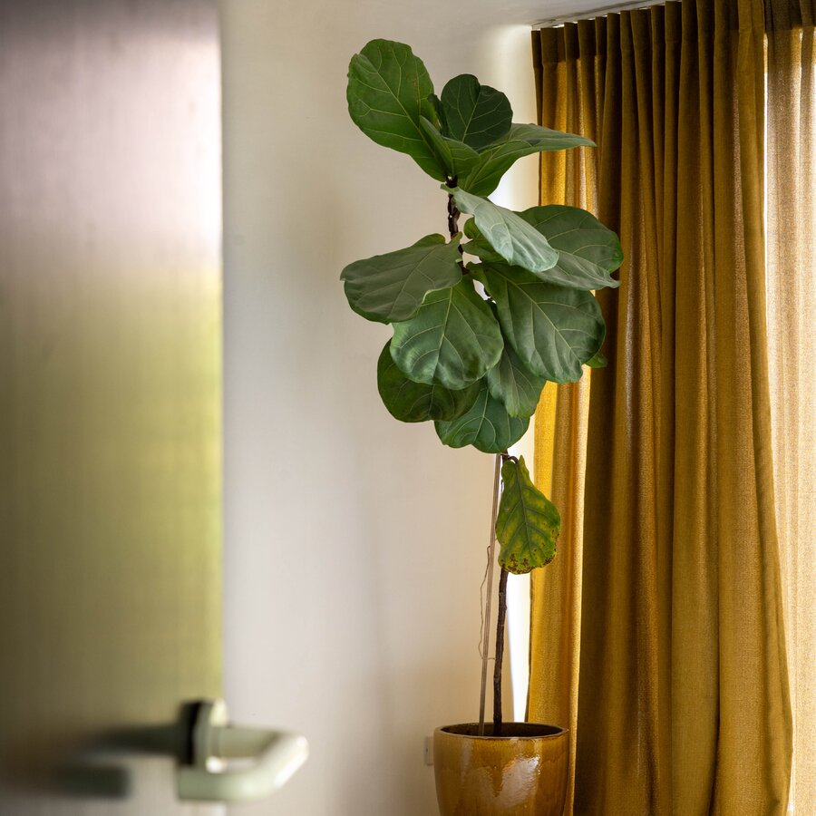 Vita A5 - Midimalisme