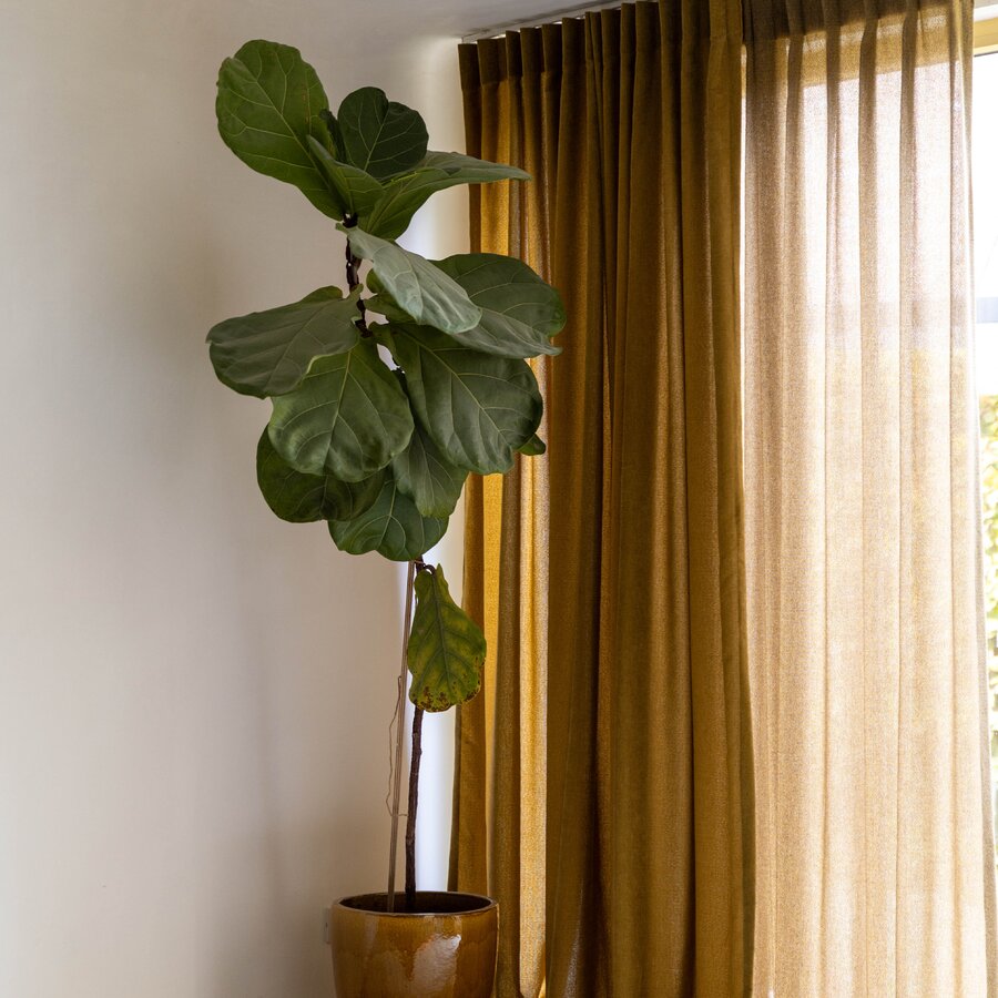 Vita A7 Essenza O7 - Midimalisme