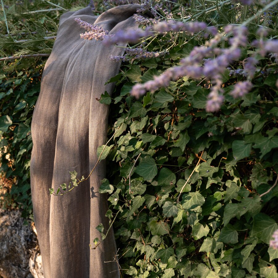 Capri N8 - Mediterranean Dreams