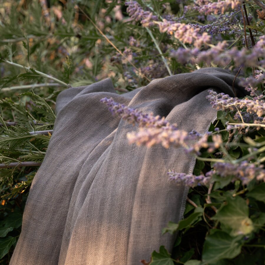 Capri N8 - Mediterranean Dreams