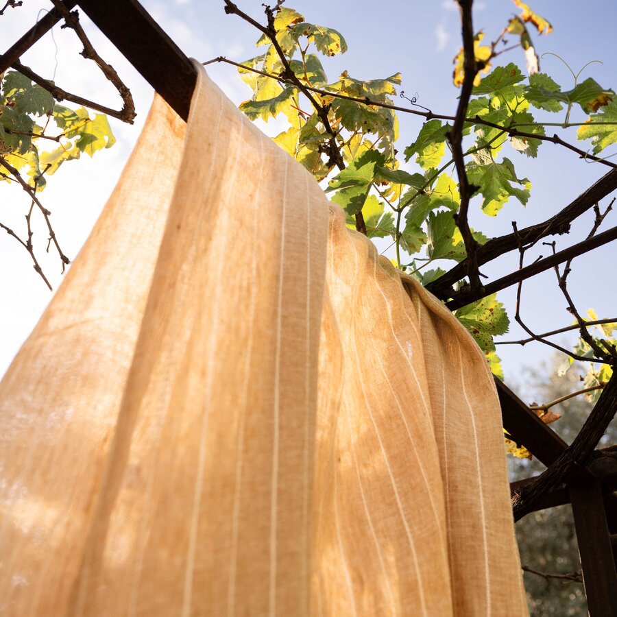 Marseille G13 - Mediterranean Dreams