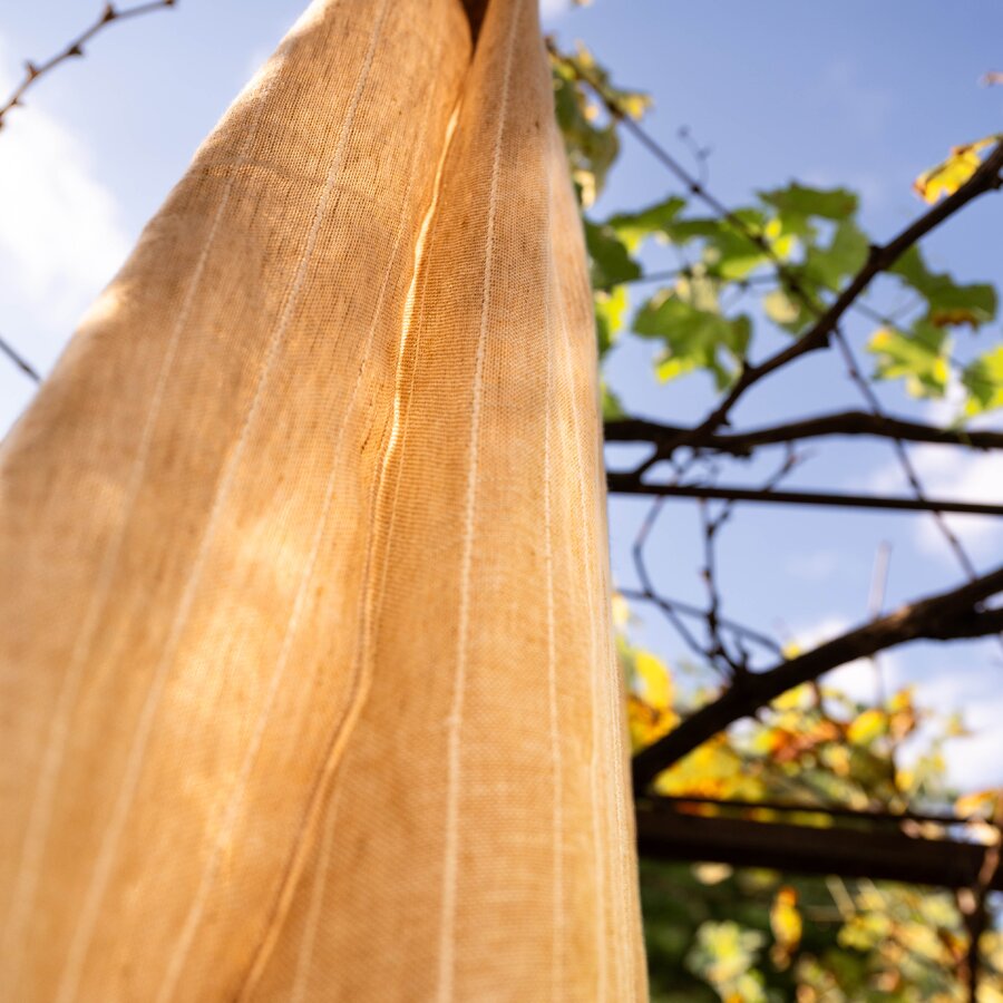 Marseille G13 - Mediterranean Dreams