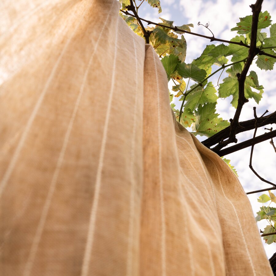 Marseille G13 - Mediterranean Dreams