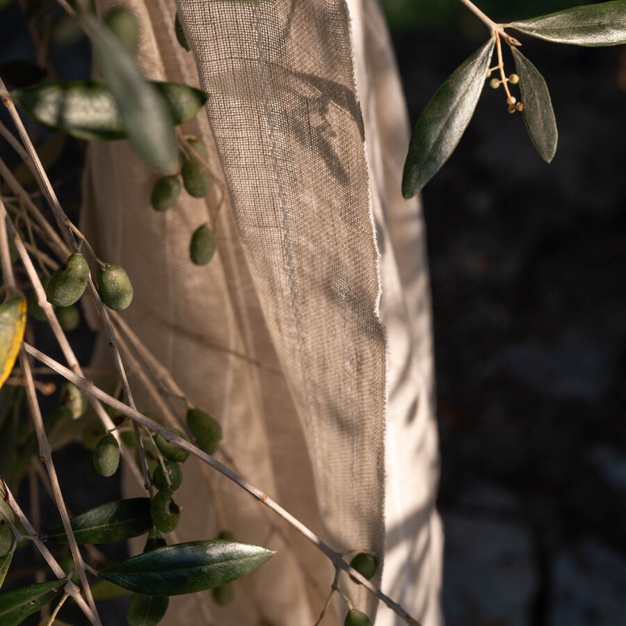 Marseille L2 - Mediterranean Dreams