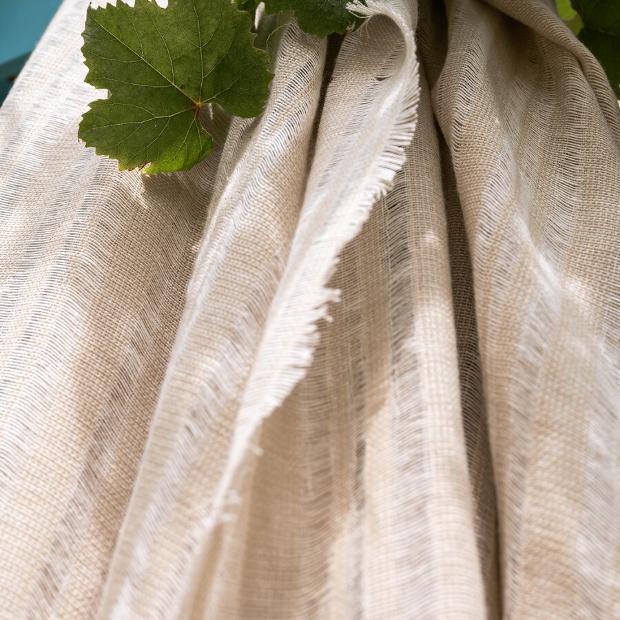 Mimosa P1 - Mediterranean Dreams