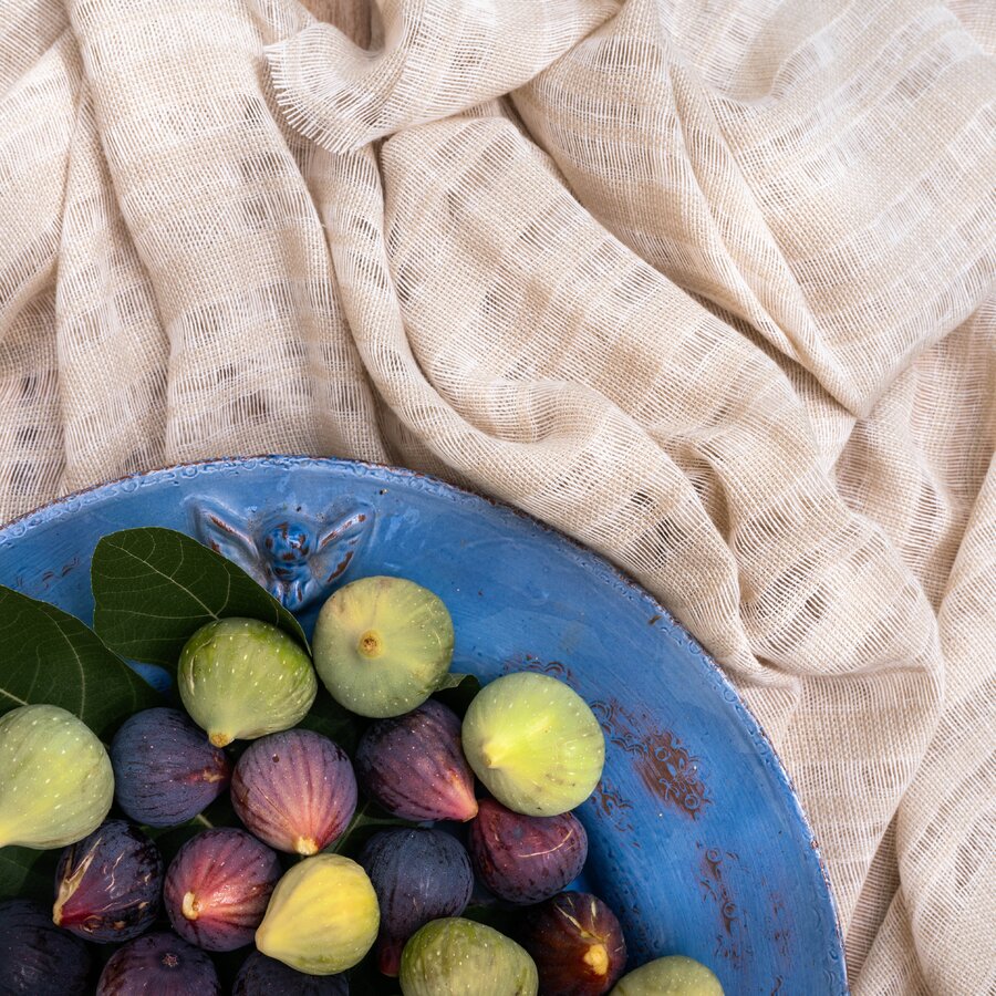 Mimosa L0 - Mediterranean Dreams