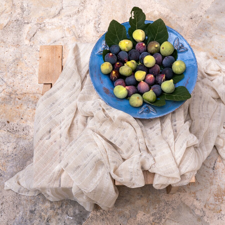 Mimosa L0 - Mediterranean Dreams