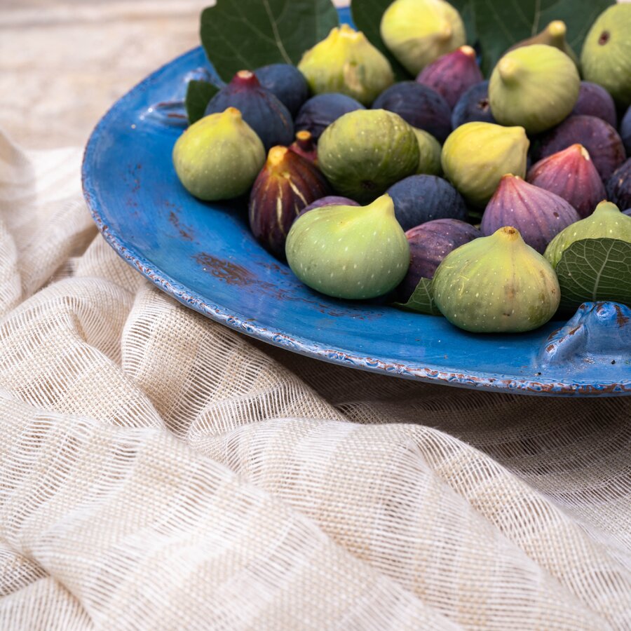 Mimosa L0 - Mediterranean Dreams